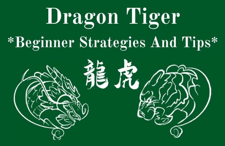 Live Dragon Tiger guide you should know