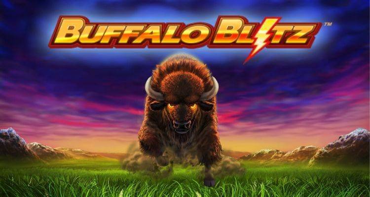 Buffalo Blitz