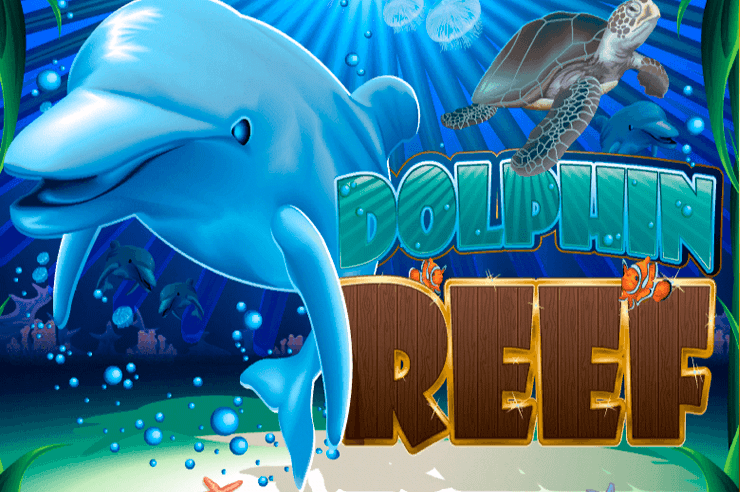 Dolphin Reef Slot – How To Win